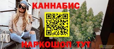 крисы Будённовск
