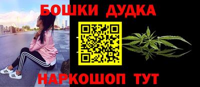 крисы Будённовск