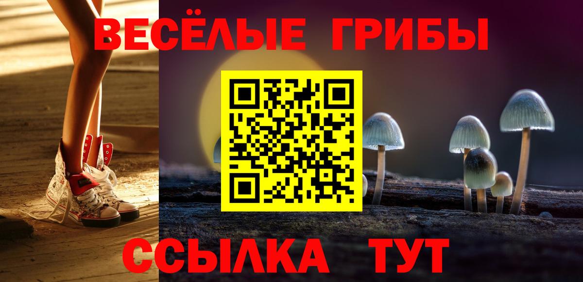 Псилоцибиновые грибы Magic Shrooms  Галлюциногенные грибы Psilocybine cubensis  Вход с VPN  хочу наркоту  Сердобск 